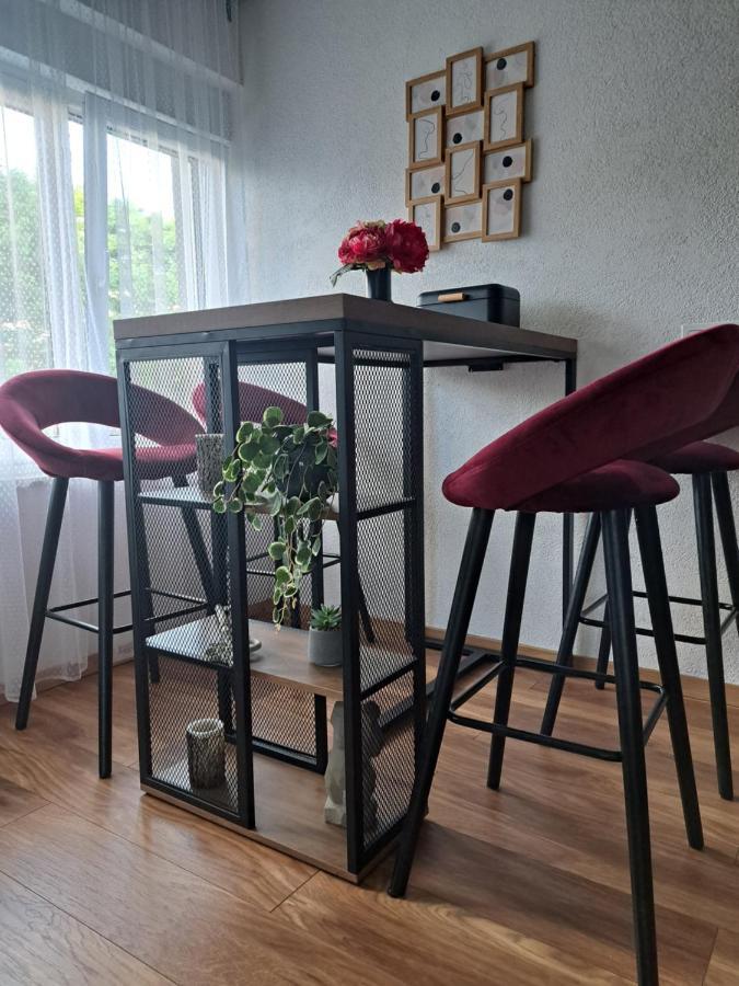 Apartman Twins Self Check In & Self Check Out Otocac Bagian luar foto